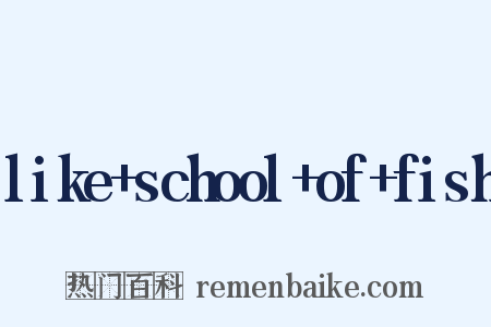like+school+of+fish是什么意思的图片